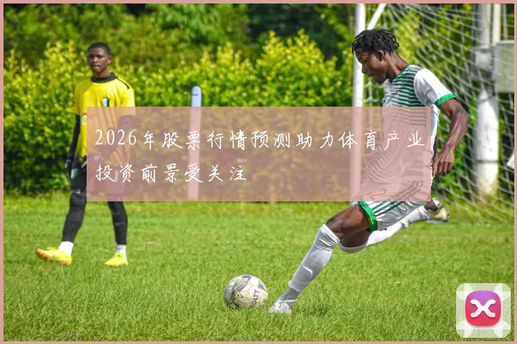 2026年股票行情预测助力体育产业投资前景受关注