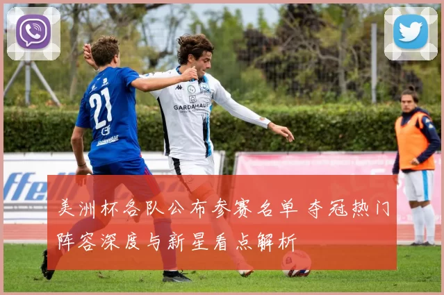 美洲杯各队公布参赛名单 夺冠热门阵容深度与新星看点解析